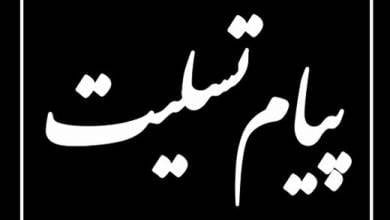 پیام تسلیت فرمانده انتظامی استان کهگیلویه و بویراحمد به مناسبت درگذشت شهادت گونه رییس پلیس راهور شهرستان کهگیلویه