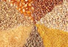 اقدامات موثر گمرک برای سرعت بخشی به ترخیص کالاهای اساسی