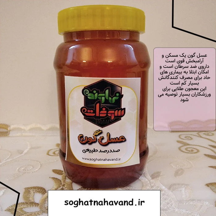 عمومی