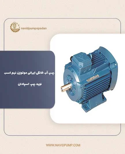 عمومی