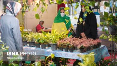 نمایش دستاوردهای کارآفرینان روستایی در بابل