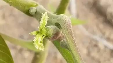 عمومی