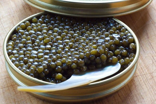 عمومی