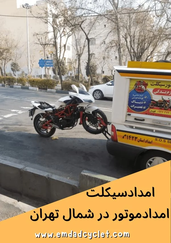 عمومی