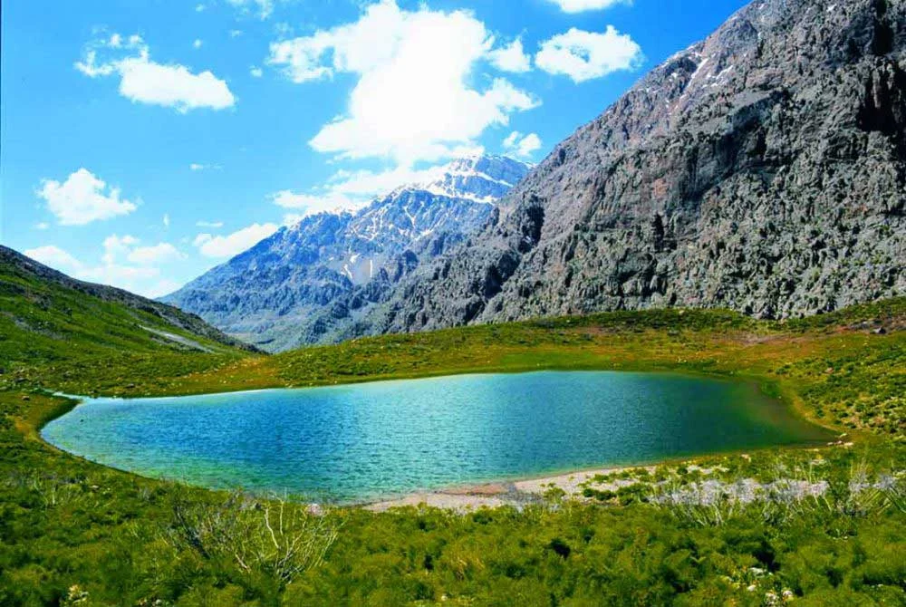 یاسوج