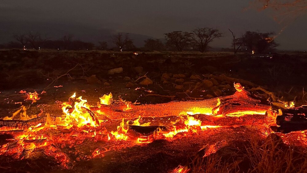 تلفات آتش‌سوزی‌های هاوایی به ۹۳ نفر رسید