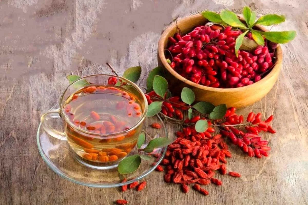 عمومی