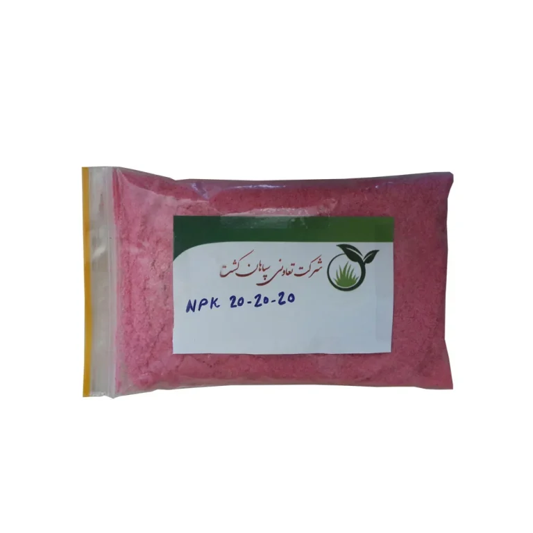 پزشکی روش صحیح نگهداری از شفلرا در آپارتمان