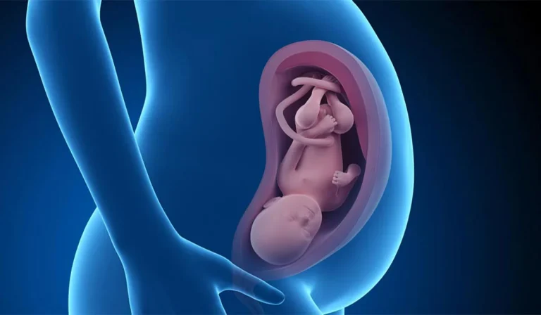 ماه هفتم بارداری و مراقبت های لازم