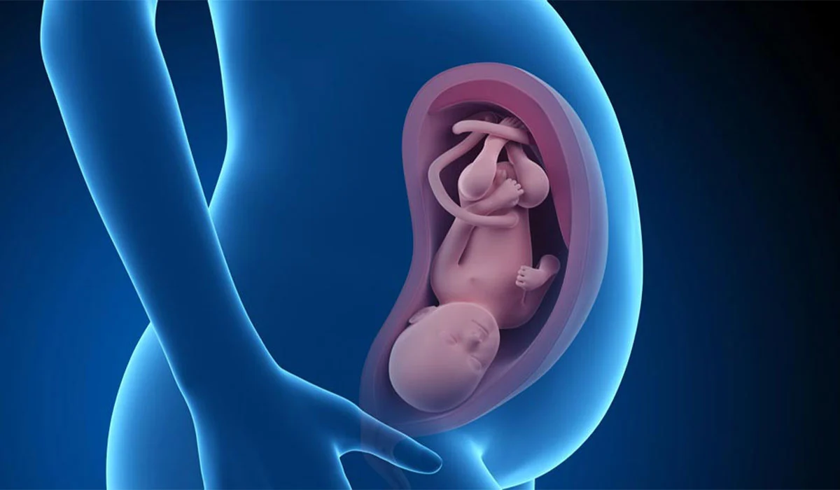 Seventh month of pregnancy and necessary care