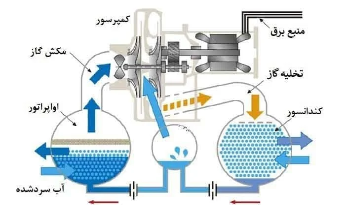 عمومی