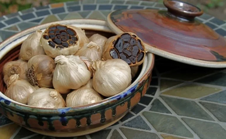 سیر سیاه برای چه کسانی ضرر دارد ؟