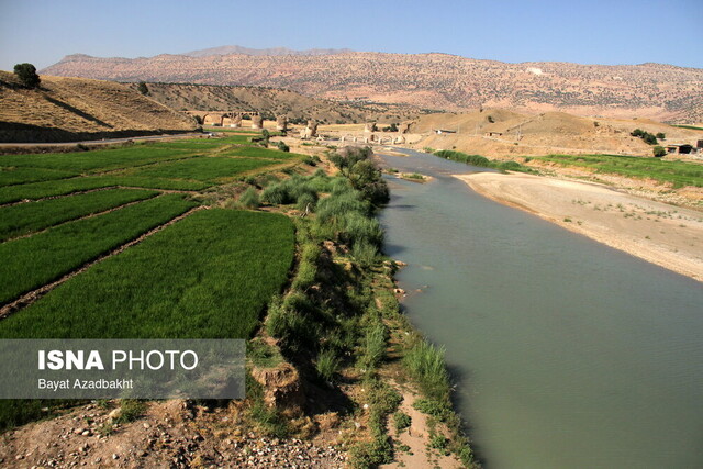 خشک‌کنانِ کشکان