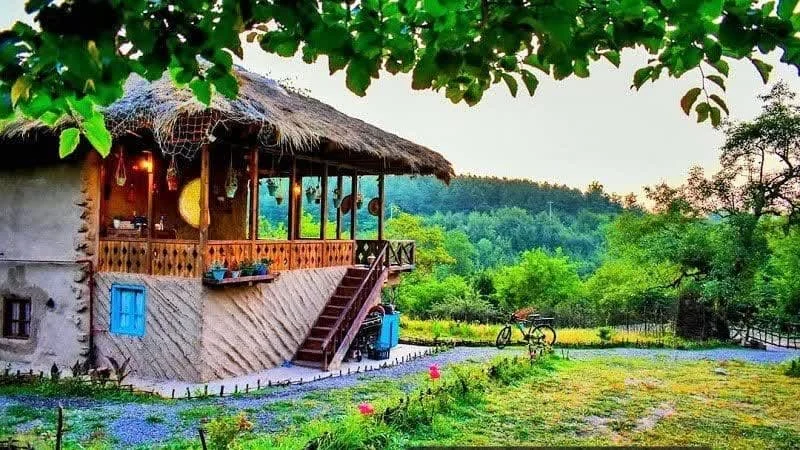عمومی