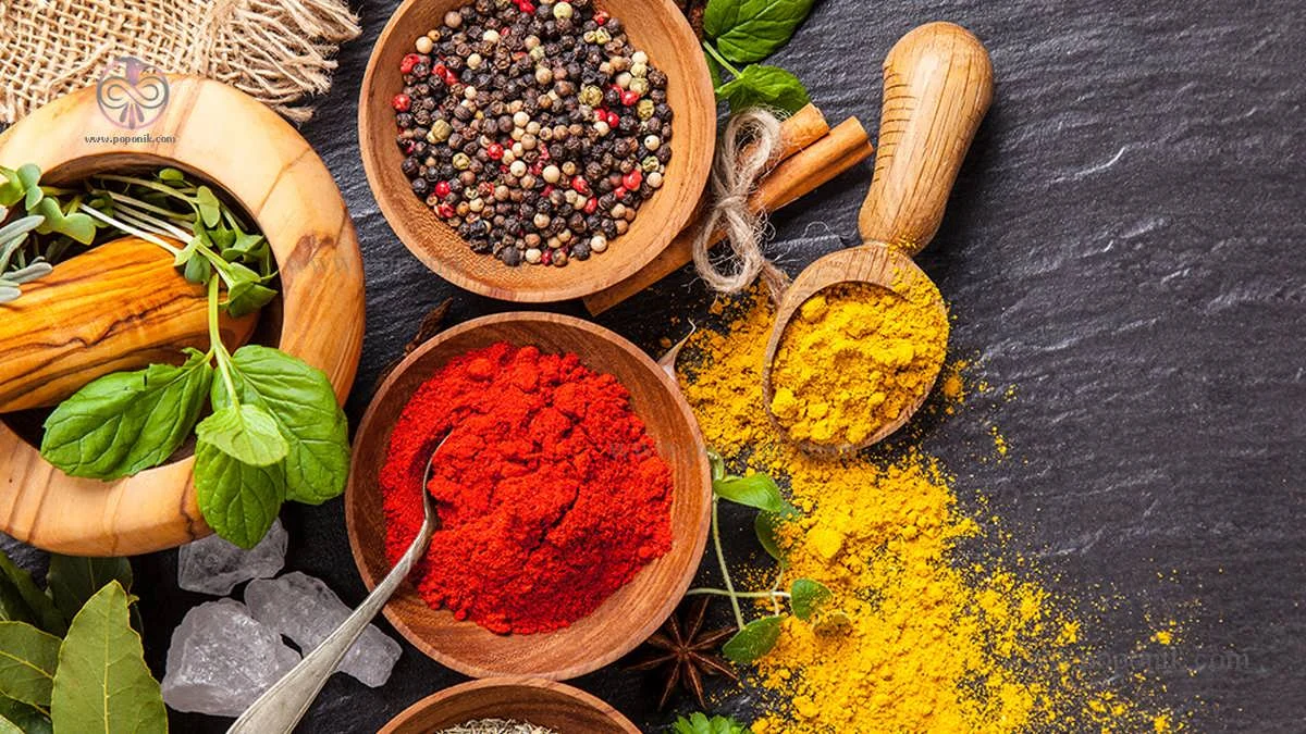 آشپزی آشپزی | ادویه