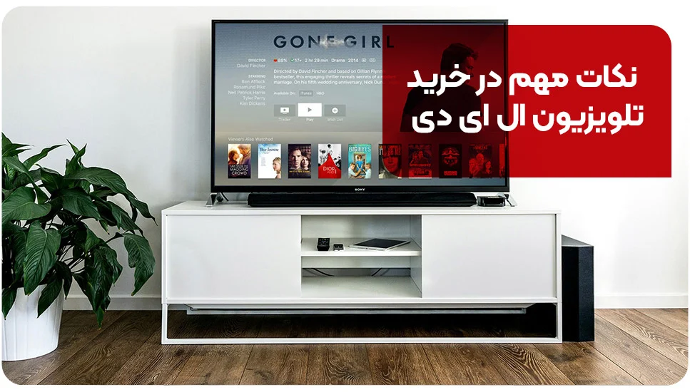 تلویزیون