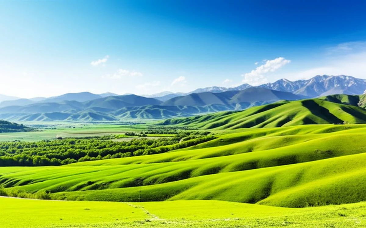 گردشگری