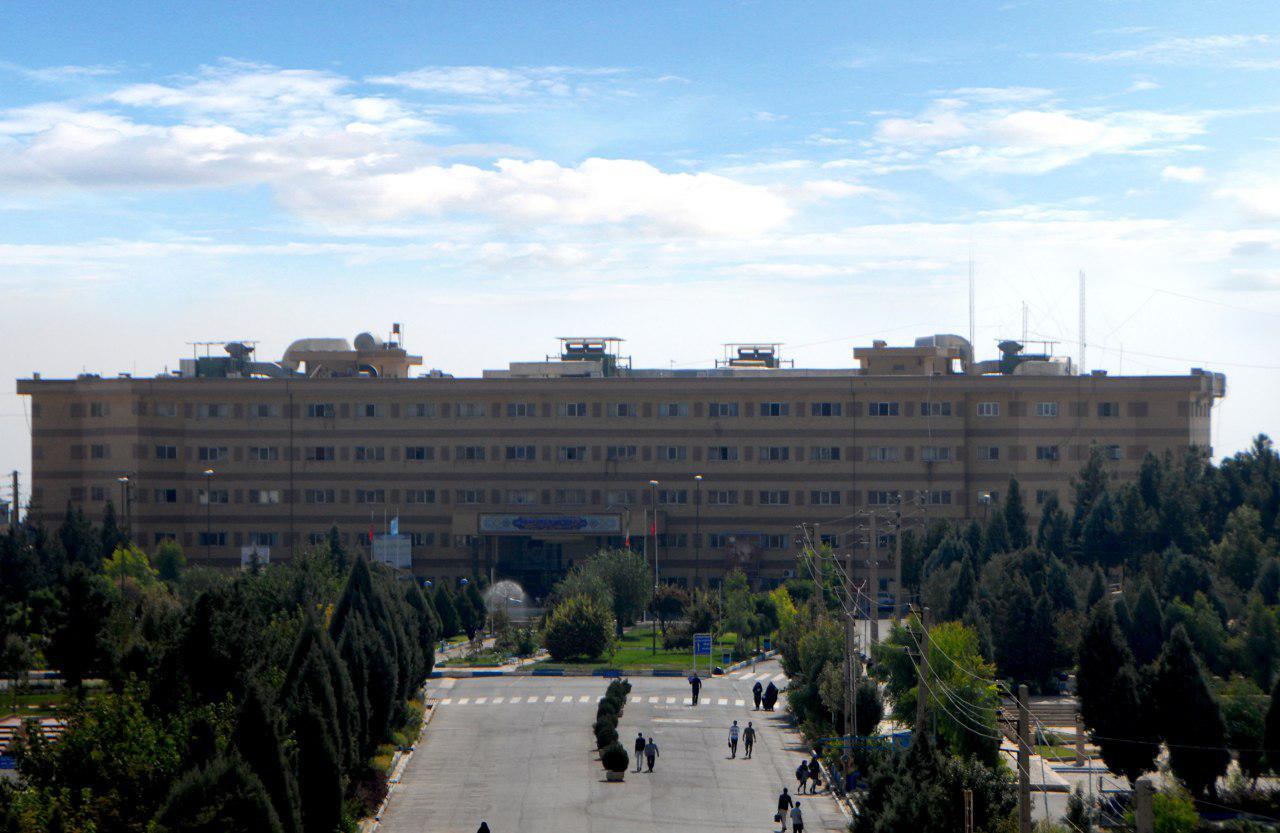 ژنتیک