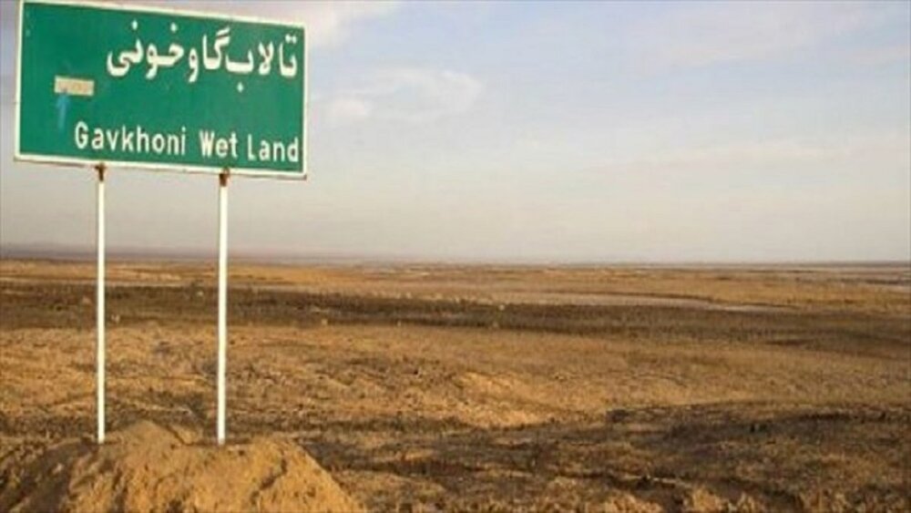 سازمان
