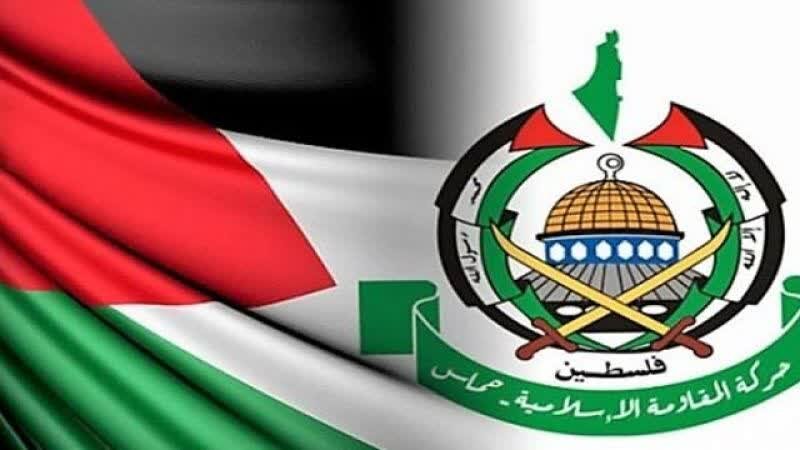 هواپیما