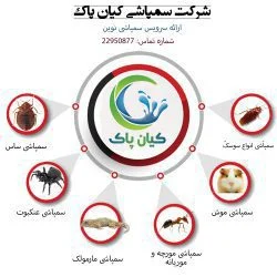 بهداشت | سمپاشی