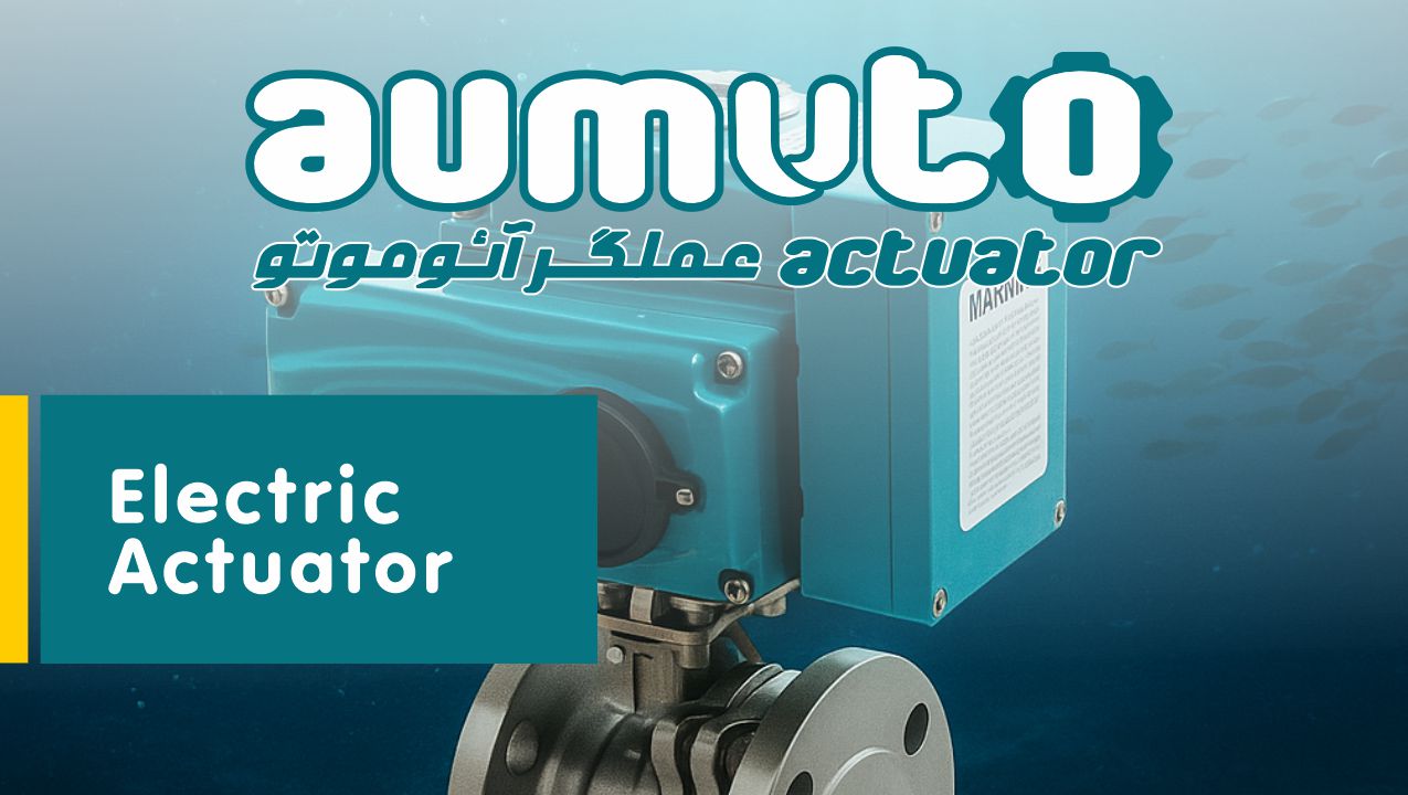 اتوماسیون اکچویتور برقی AUMUTO دارای استاندارد های استاندارد IP67 و IP68 ( مقاوم در آب و غبار)